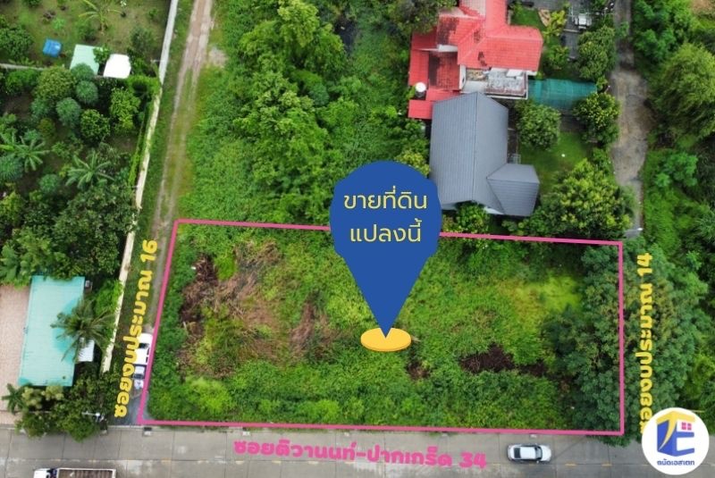 ขายที่ดินติวานนท์