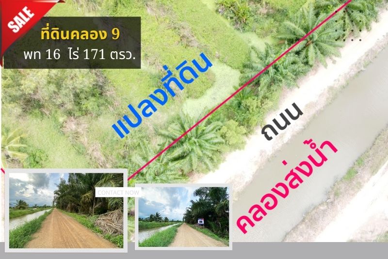 ขายที่ดินคลอง 9  ถ.รังสิต-นครนายก ที่ดินติดคลอง