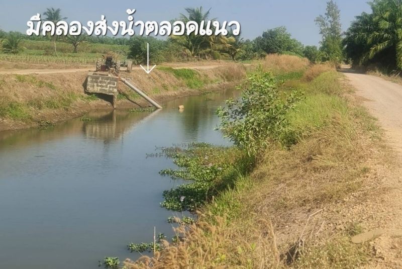 ที่ดินดินคลอง ที่ดินคลอง 9
