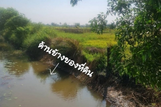 ขายที่ดินคลอง 9