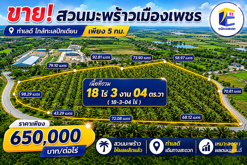 ขายที่ดินสวนมะพร้าว ปลูกพร้อม ใกล้ทะเลปึกเตียน เพียง 5 กม.