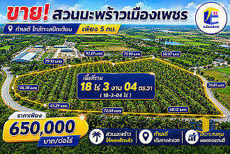 ขายที่ดินสวนมะพร้าว ปลูกพร้อม ใกล้ทะเลปึกเตียน เพียง 5 กม.