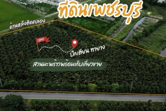 ขายที่ดินเพชรบุรี