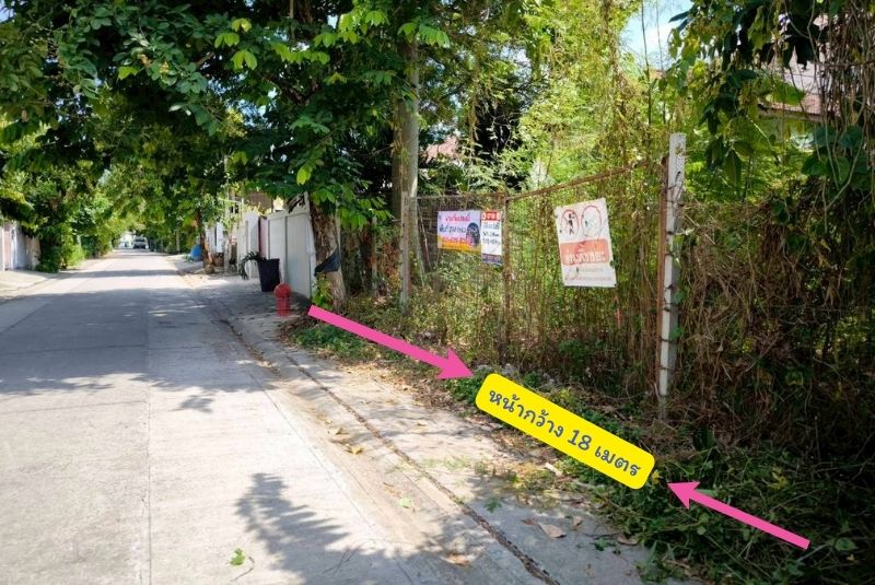 land-bangwaek-116_2