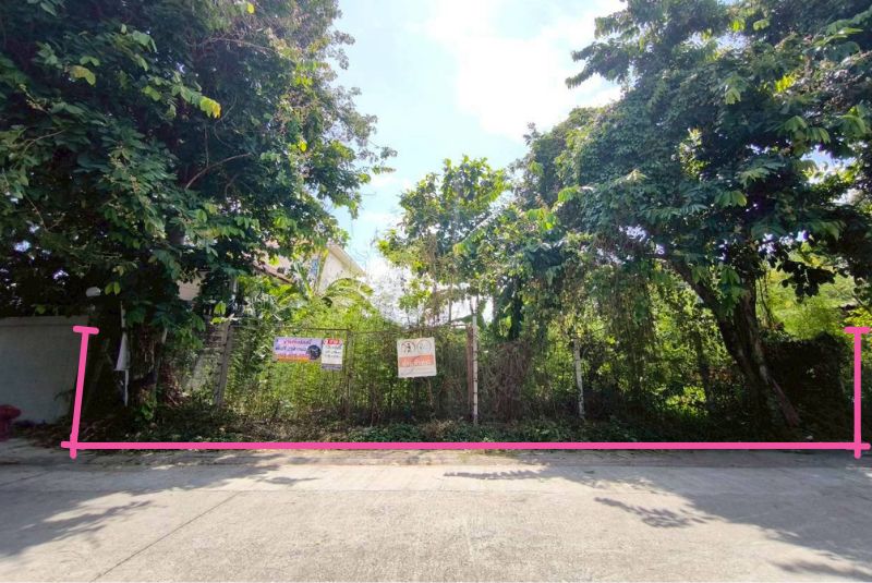 land-bangwaek-116_3