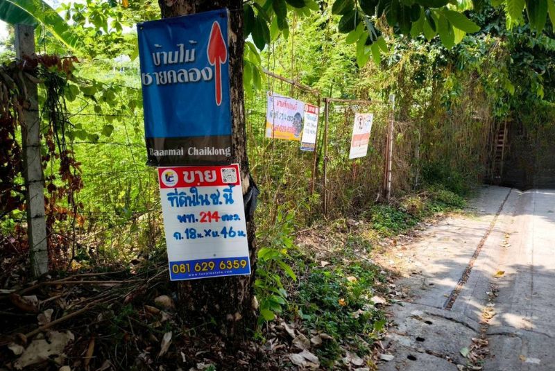 land-bangwaek-116_5