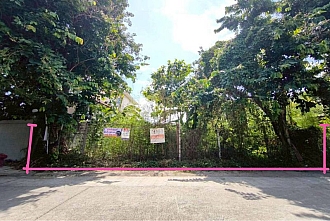 land-bangwaek-116_3