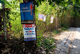 land-bangwaek-116_5
