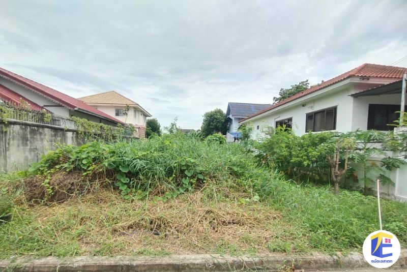 ขายที่ดินพุทธมณฑลสาย 2 ​ซอยพัฒนาการ เนื้อที่ 66 ตร.ว 