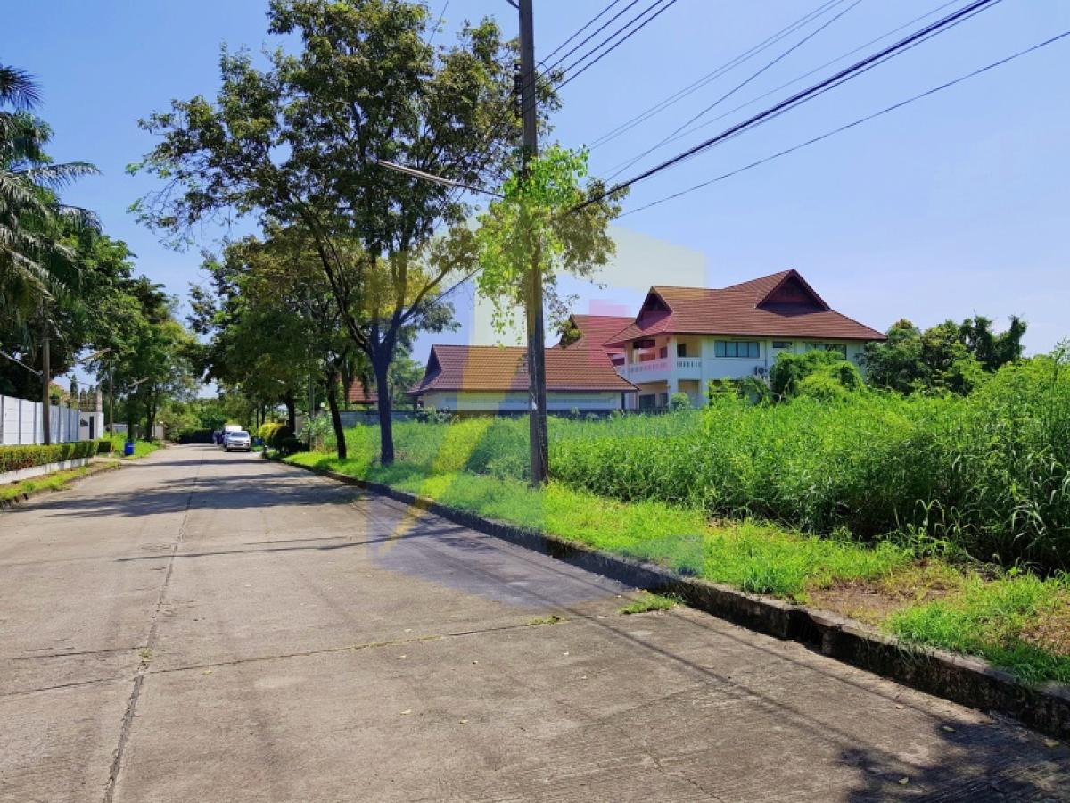 ขายที่ดินพร้อมสิ่งปลูกสร้างขนาดใหญ่ 365.5 ตร.ว. พนาสนธิ์ ซิตี้ ศรีนครินทร์ (ใกล้ รพ.เปาโล) 