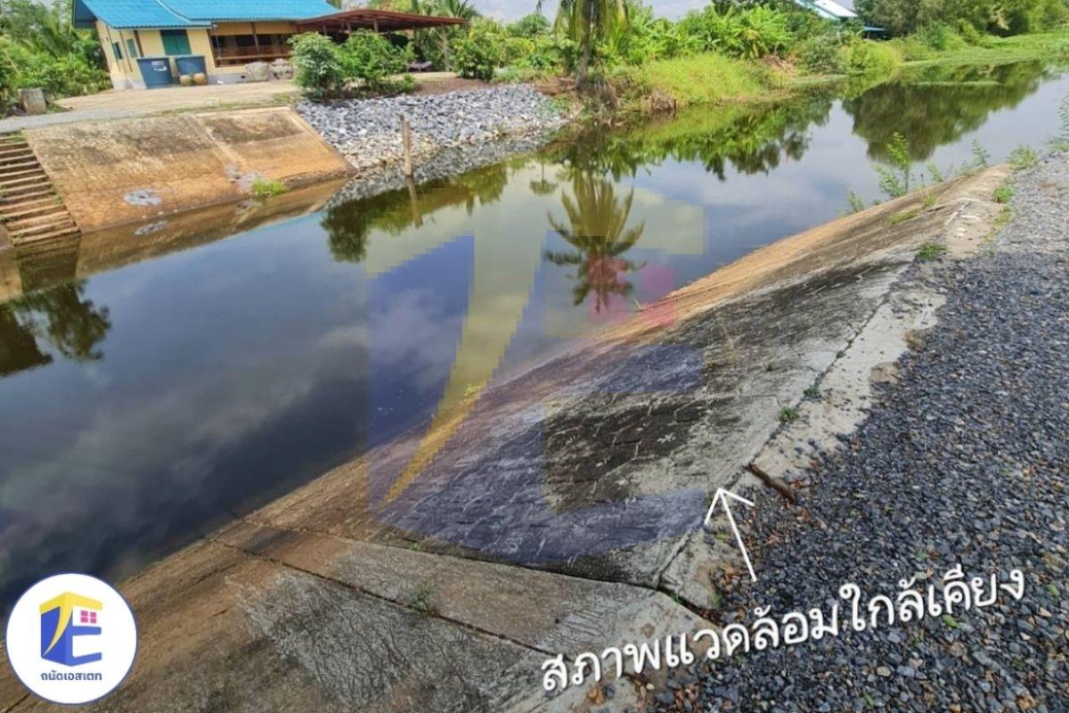 ที่ดินองครักษ์ เนื้อที่ 1 ไร่ 192.7 ตร.ว. อ.องครักษ์ ด้านหลังติดคลองกว้าง 60 เมตร ด้านหน้ากว้าง 64 เมตรติดถนนใหญ่ 4 เลน สาย 3001