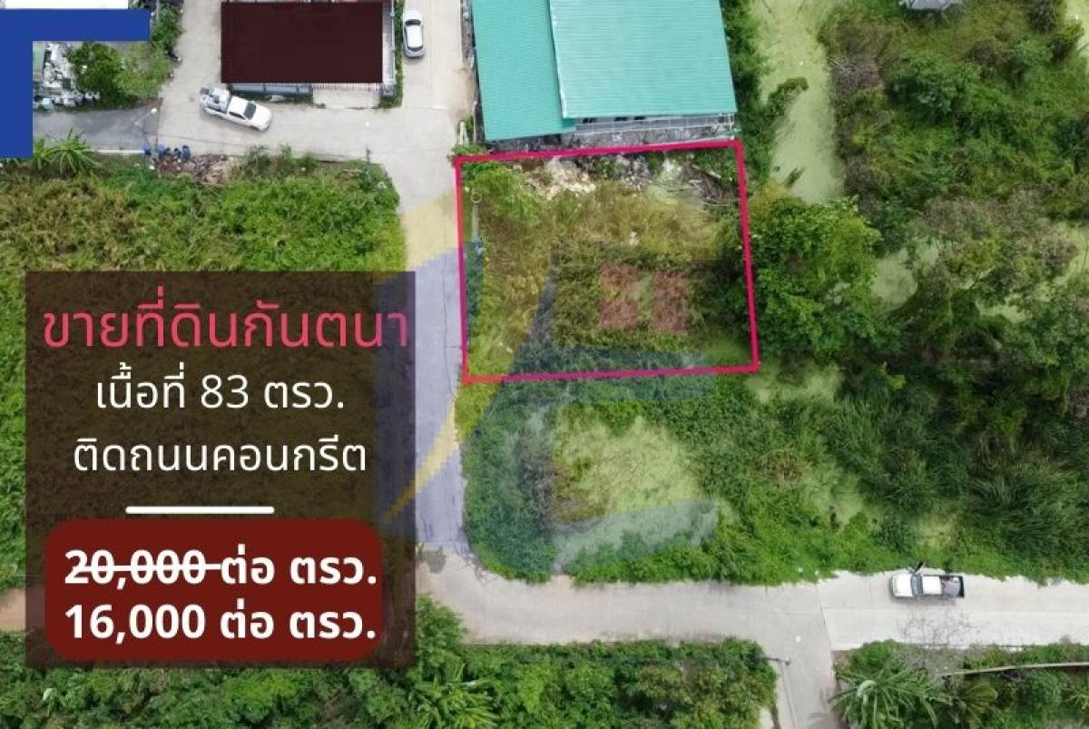 ที่ดิน กันตนา เนื้อที่ 83 ตรว. ติดถนนคอนกรีต ติดถนน  16 เมตร ลึก 20 เมตร เหมาะปลูกบ้าน