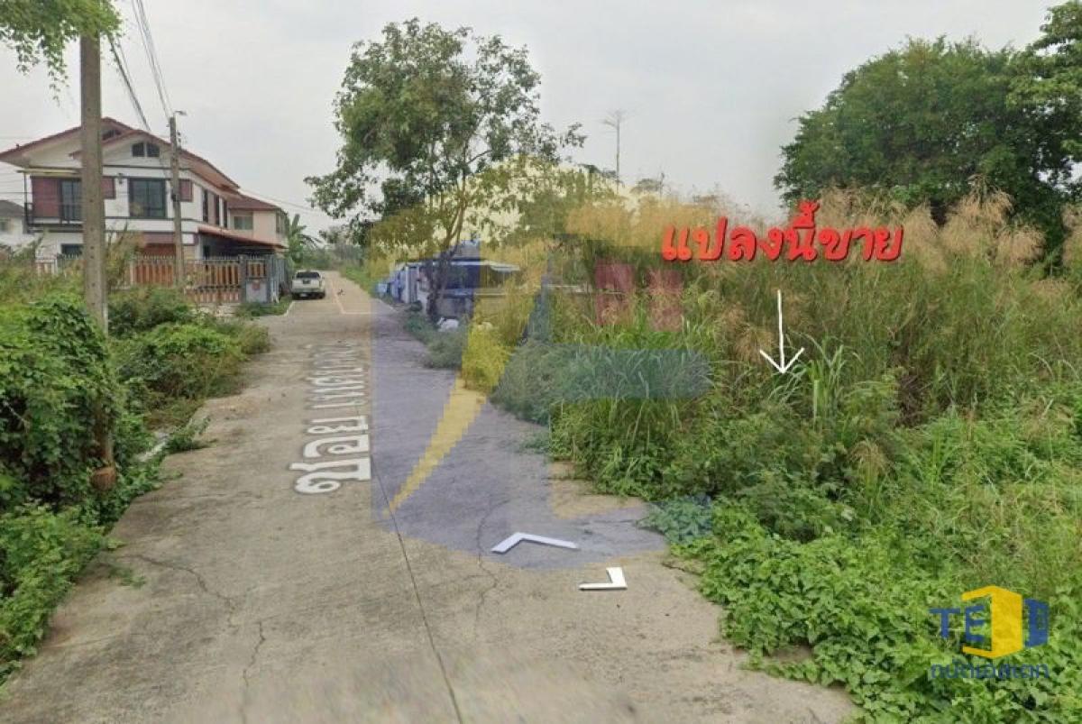 ที่ดิน กันตนา เนื้อที่ 83 ตรว. ติดถนนคอนกรีต ติดถนน  16 เมตร ลึก 20 เมตร เหมาะปลูกบ้าน