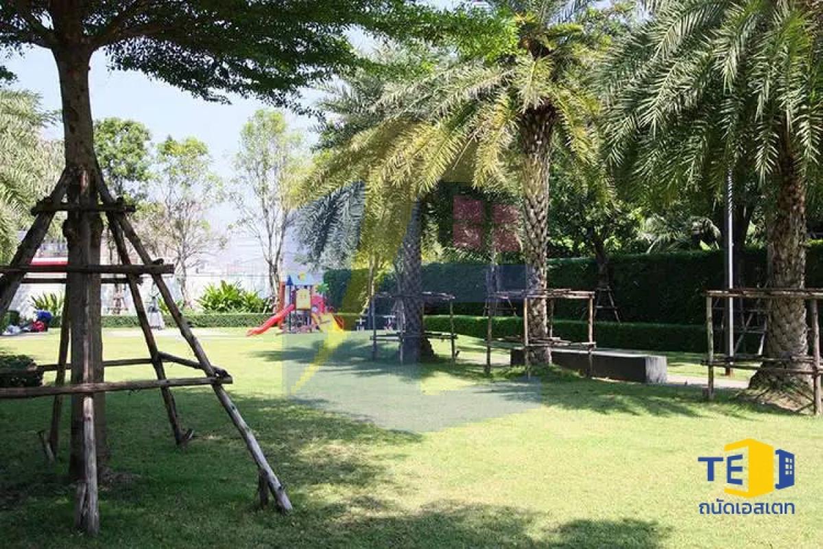 บ้านกลางเมือง กัลปพฤกษ์  169 ซอย 9 หน้ากว้าง 4.5 เมตร ใกล้ BTS วุฒากาศ 3 ชั้น 
