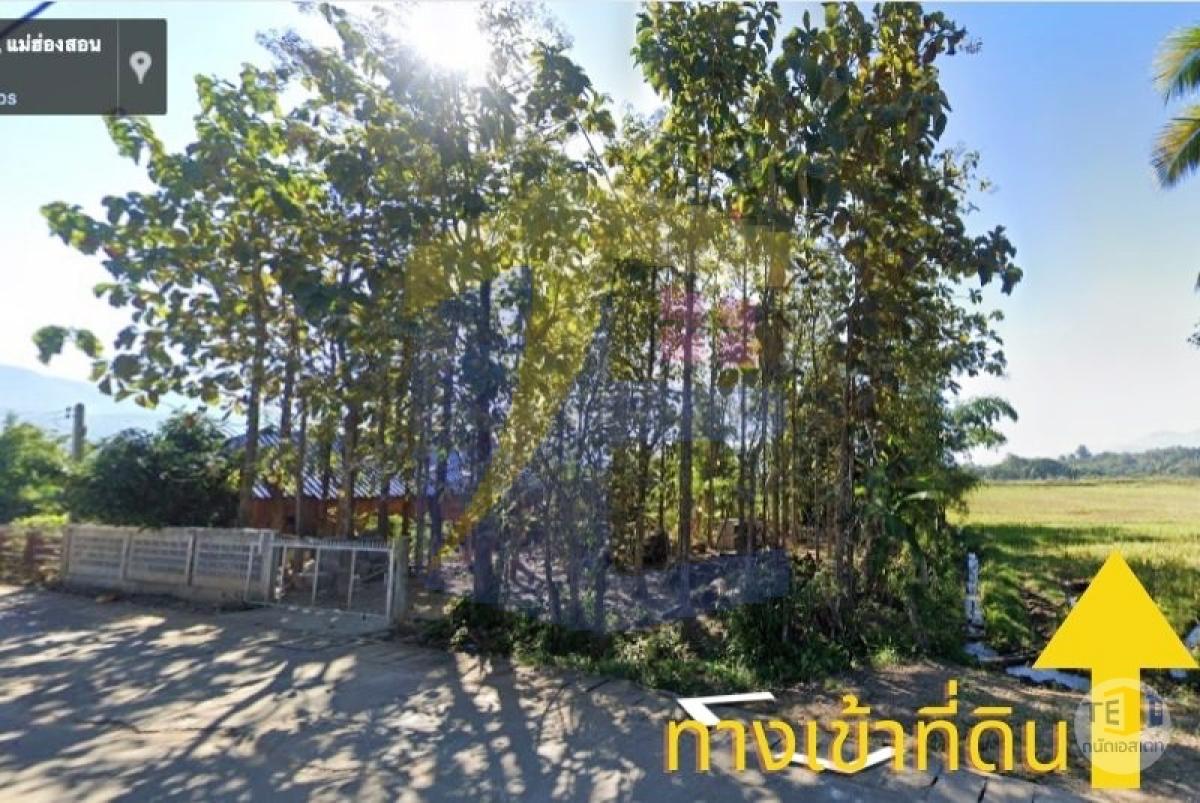 ขายที่ดินปาย น้ำไฟเข้าถึง วิว 180 องศา ตั้งแต่พระอาทิตย์ขึ้นจนพระอาทิตย์ตก