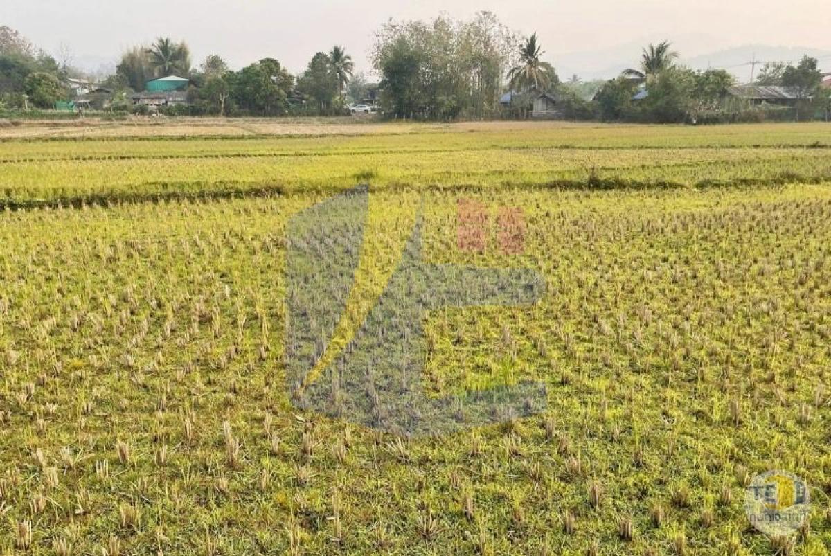 ขายที่ดินปาย น้ำไฟเข้าถึง วิว 180 องศา ตั้งแต่พระอาทิตย์ขึ้นจนพระอาทิตย์ตก