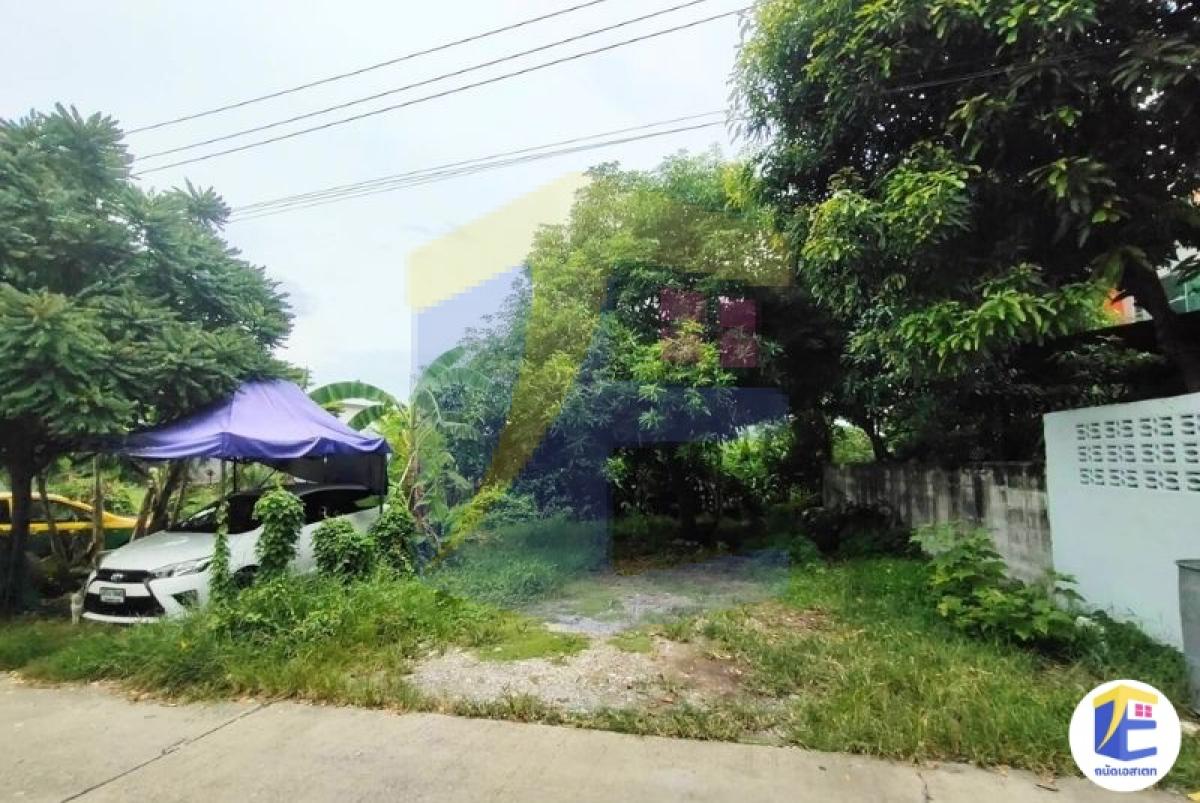 ขายที่ดินหนองแขม 90 ตร.ว. ถมแล้ว หน้ากว้าง 24 ม. ใกล้สารสาสน์หนองแขม