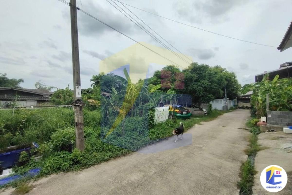 ขายที่ดินหนองแขม 90 ตร.ว. ถมแล้ว หน้ากว้าง 24 ม. ใกล้สารสาสน์หนองแขม