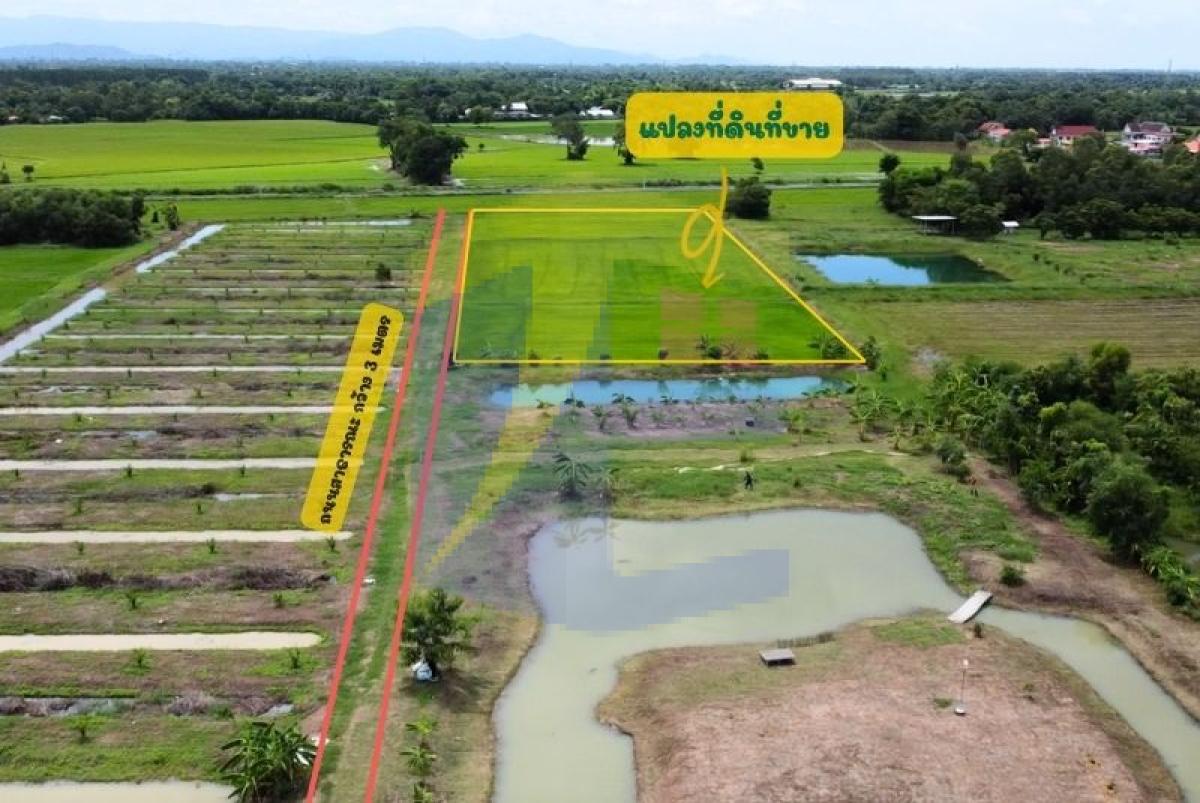ขายที่ดินแบ่งแปลง วิวภูเขา สระบุรี ใกล้กรุงเทพฯ
