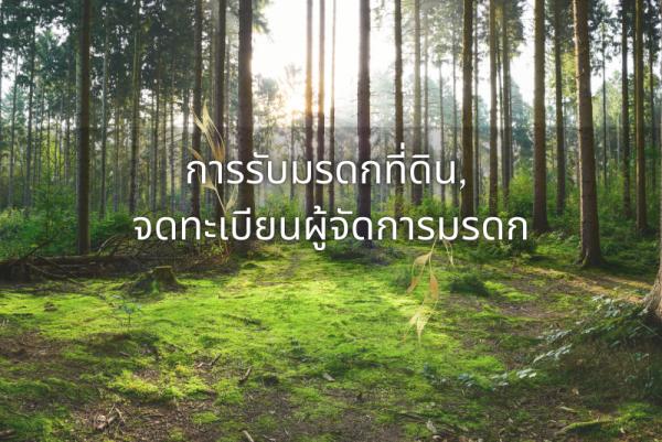 การรับมรดกที่ดิน ต้องเตรียมหลักฐานประกอบอะไรบ้าง ที่นี่มีคำตอบ