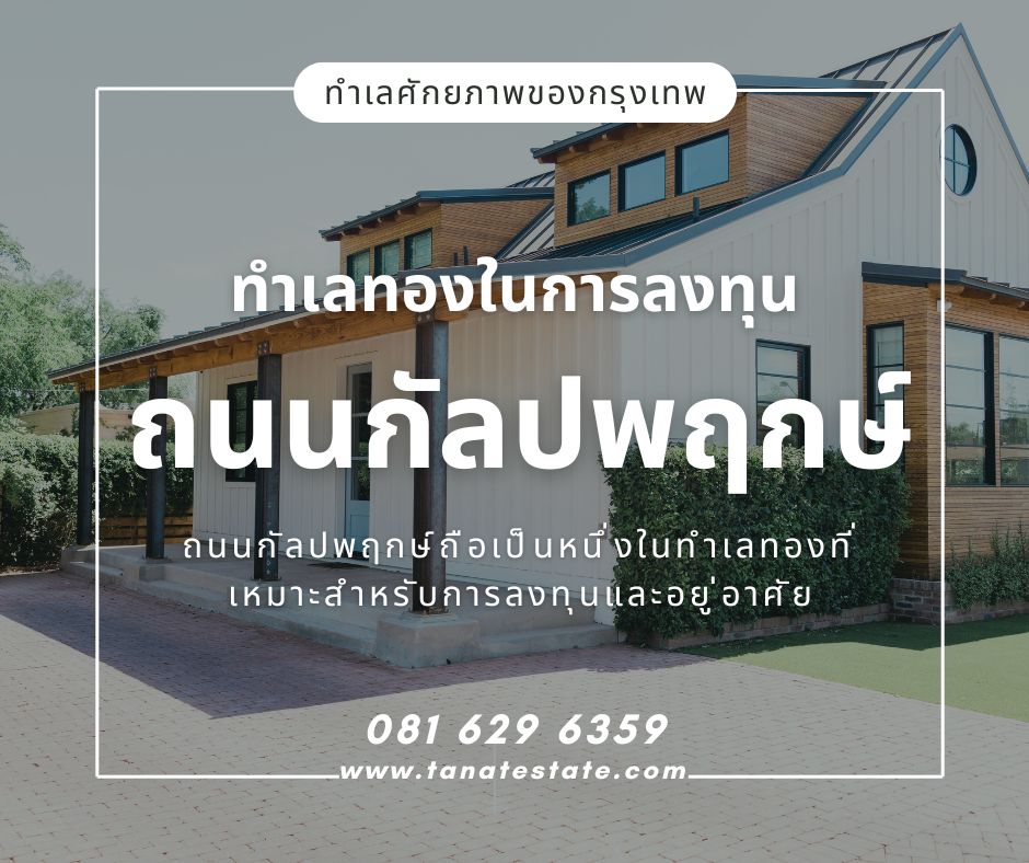 ทำเลทองในการลงทุนบนถนนกัลปพฤกษ์
