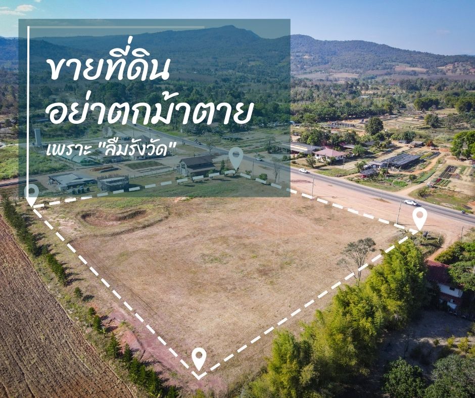 ขายที่ดินต้องทำยังไง? ทำไมต้องรีบยื่นรังวัดก่อนขาย (อัปเดต 2569) - Tanat Estate