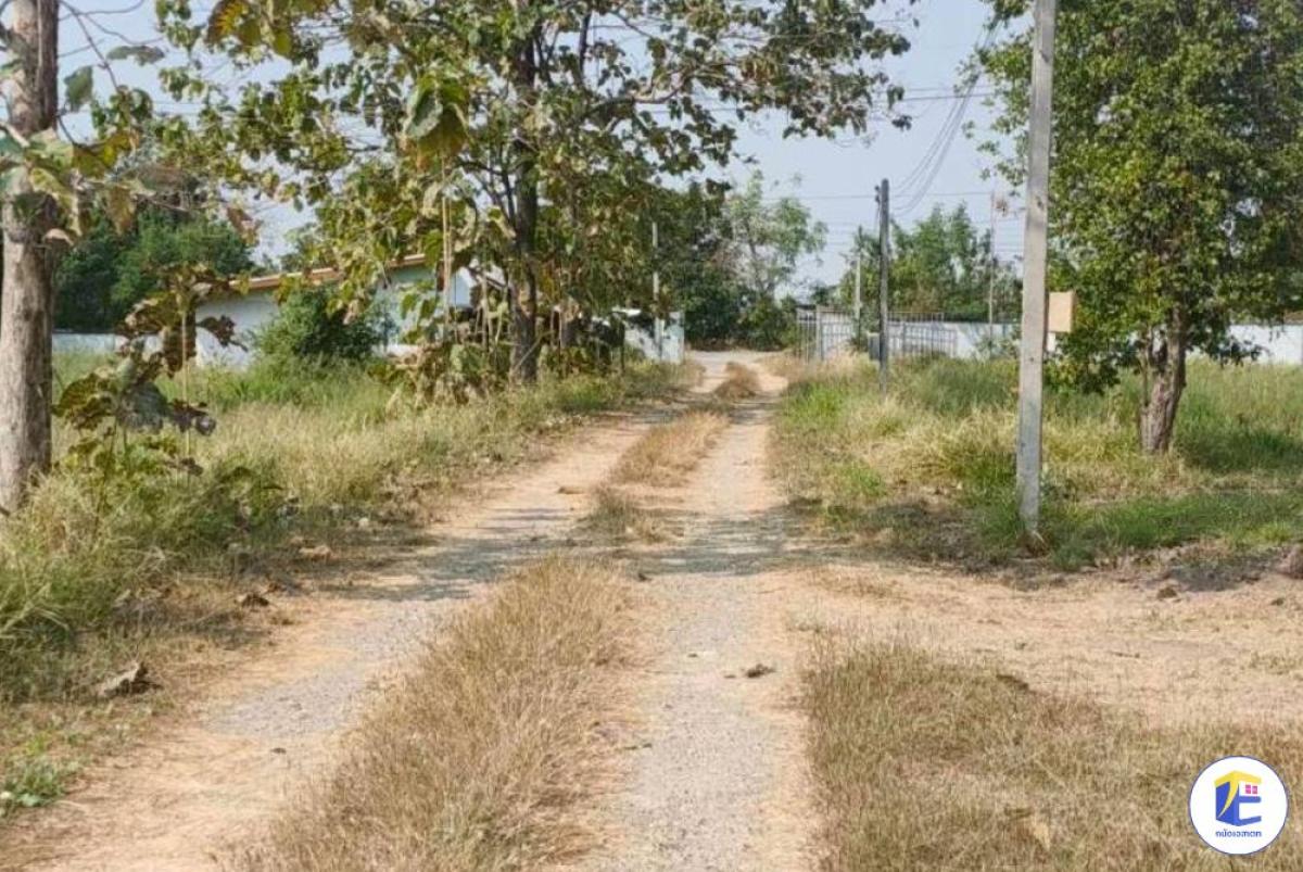 ขายที่ดินลพบุรี พัฒนานิคม 24 ไร่ พร้อมตึกปูน 2 ชั้น (12x16m) ติดถนน 83m (3 โฉนด) | Tanat Estate