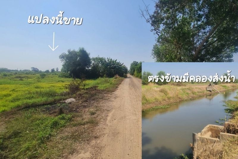 ขายที่ดินคลอง 9  ถ.รังสิต-นครนายก ที่ดินติดคลอง