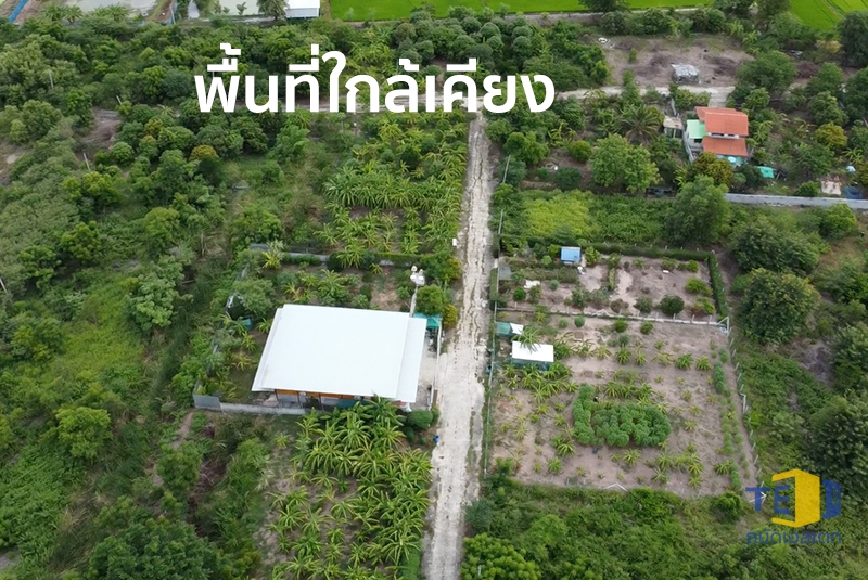 ขายที่ดินบางเลน นท.248 ตร.ว. 2โฉนด ถมแล้ว เพียง 8 นาทีถึง ตลาด